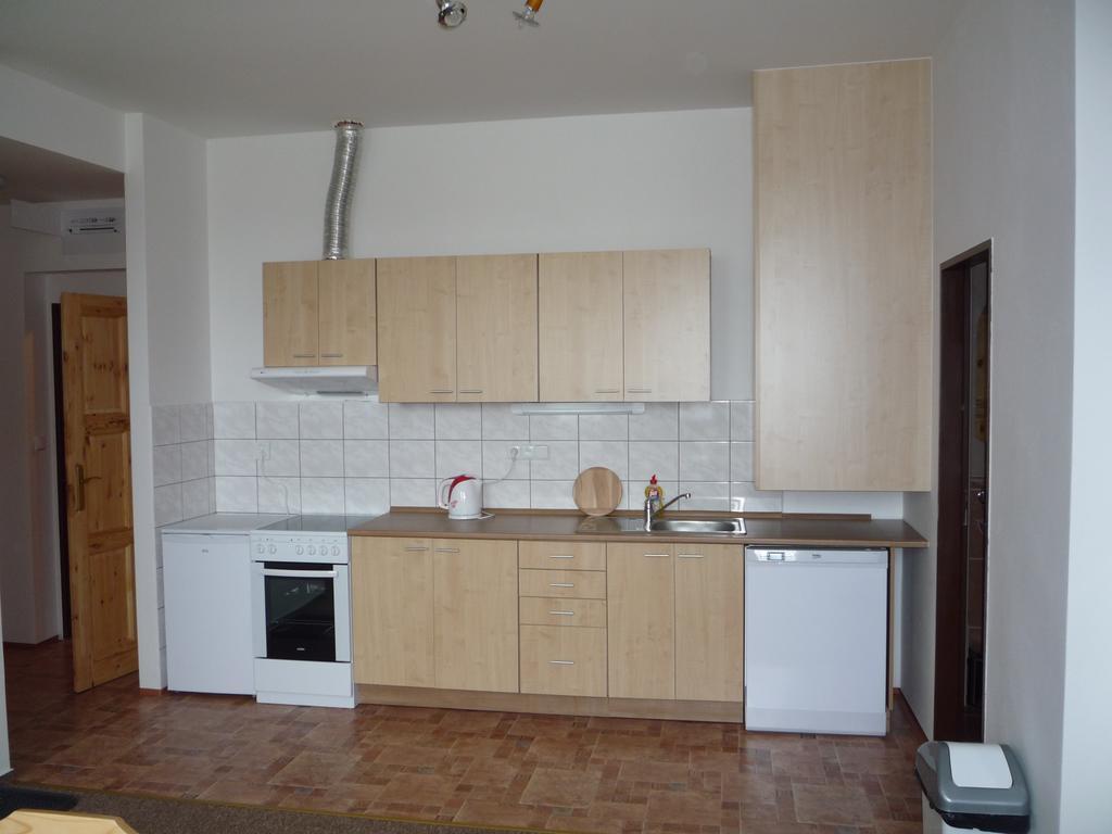 Apartmany Na Vytoni Přední Výtoň Værelse billede